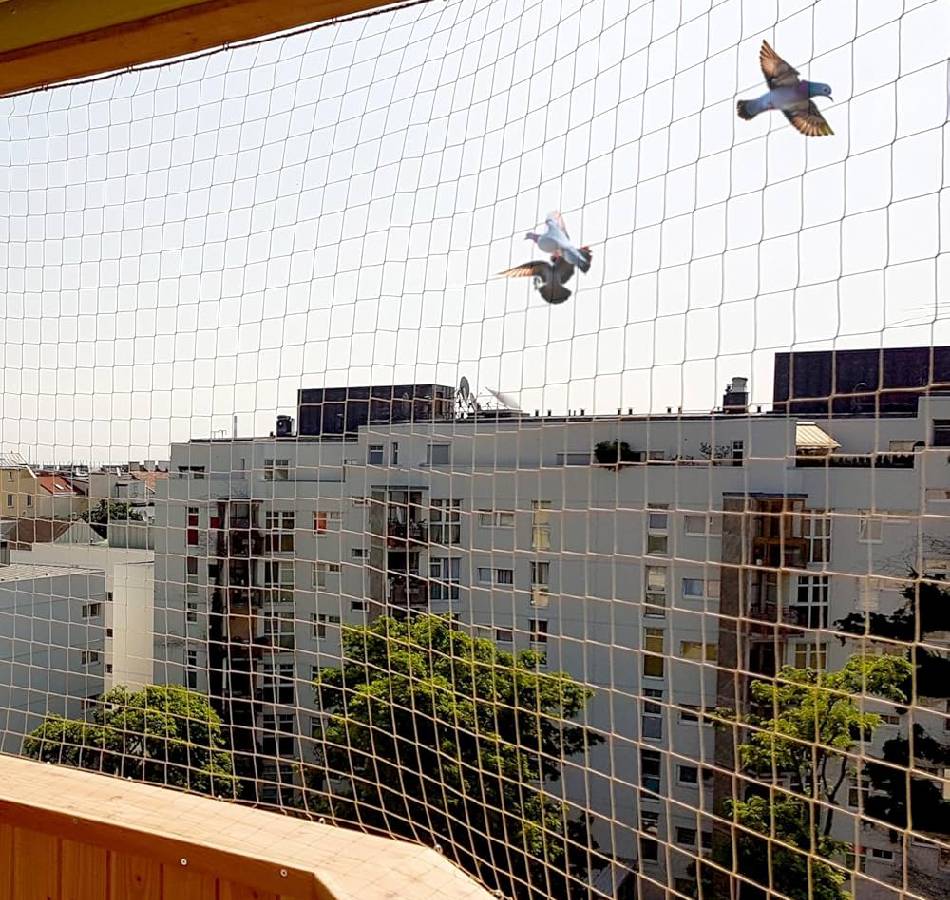 balcony blinds image